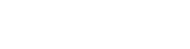 The Sellebrity Group Logo